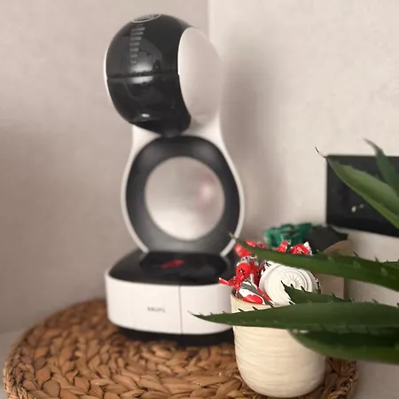 Modern Zauniaus Kłajpeda