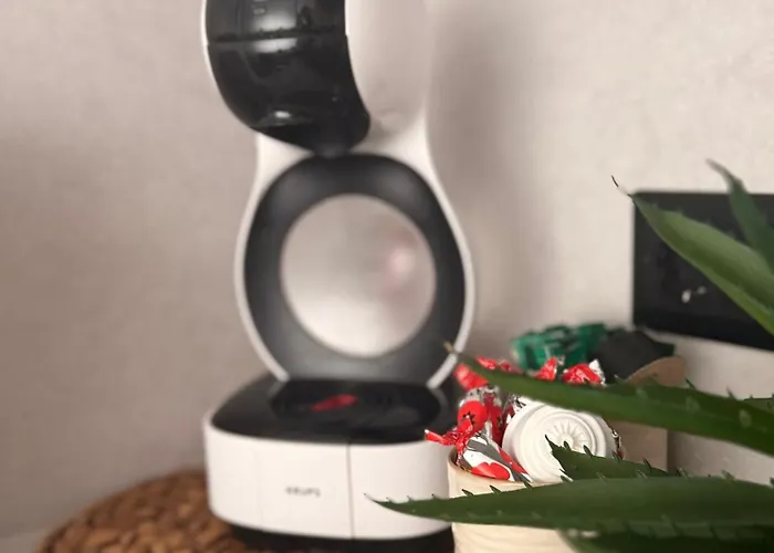 Modern Zauniaus Клайпеда