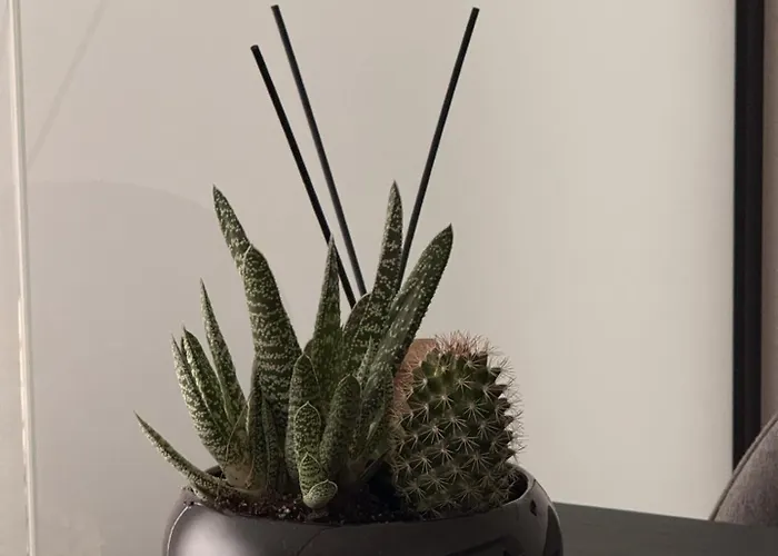 Modern Zauniaus Self Check-in Apartment *