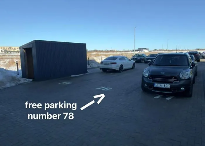 Modern Zauniaus Self Check-in Apartment *